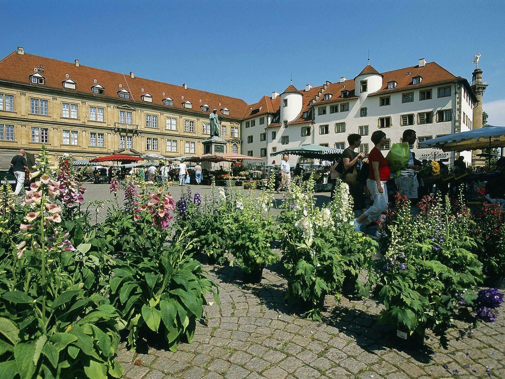 Ibis Centrum